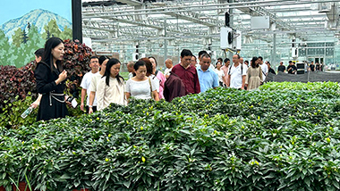 ���ũ�����񡰻桱�����պá��ᡱ��