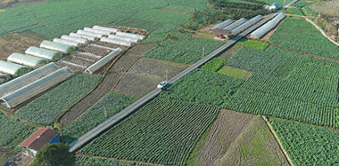 ��Ϫ���ﶬ�ֺ�������������Ч